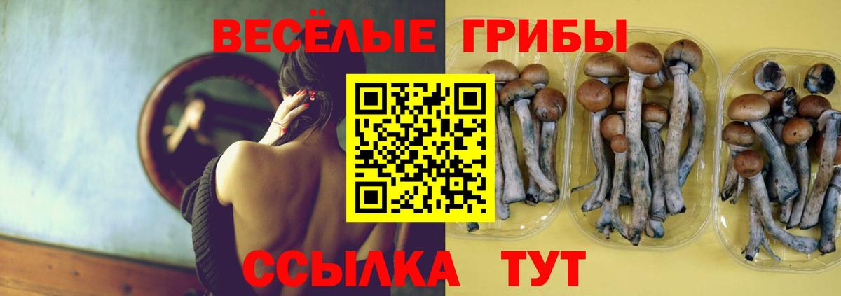 цена наркотик  Вход с VPN  Феодосия  Галлюциногенные грибы Cubensis 